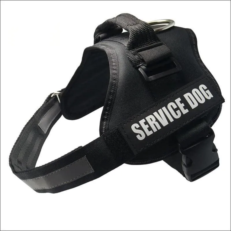 All-In-One No Pull Dog Harness