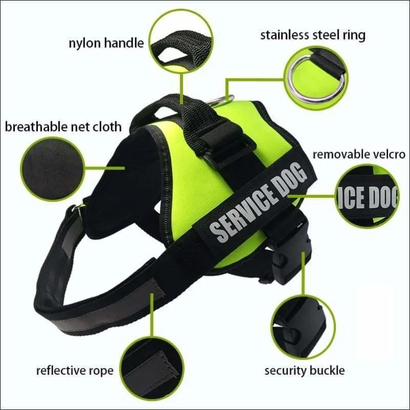 All-In-One No Pull Dog Harness