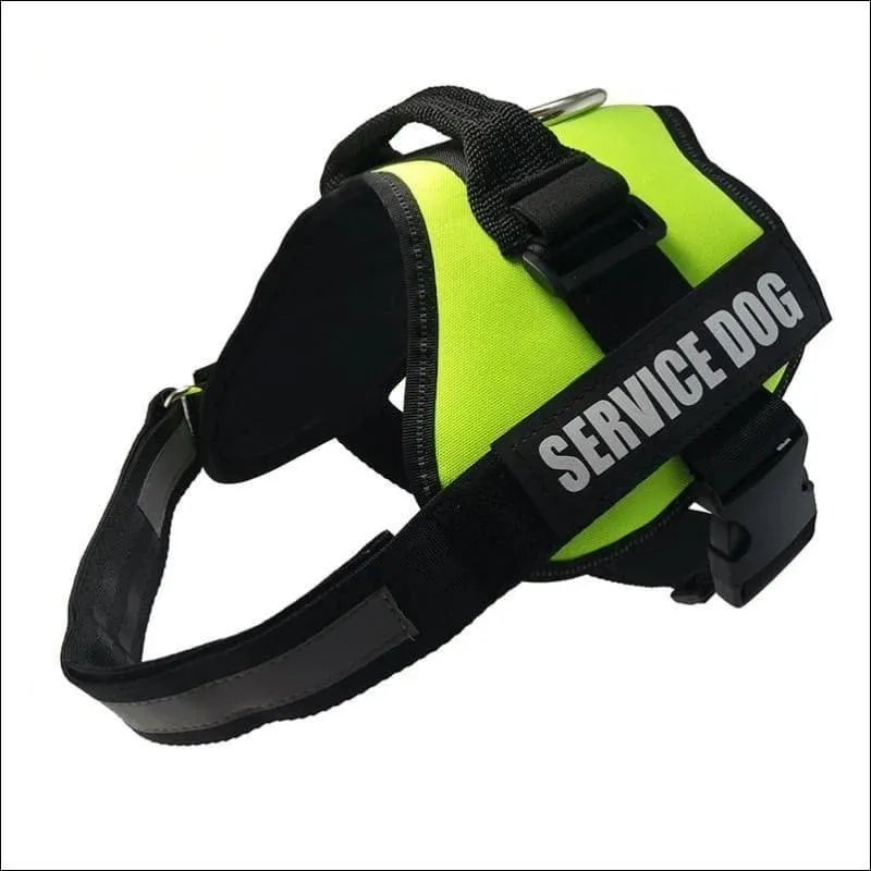 All-In-One No Pull Dog Harness