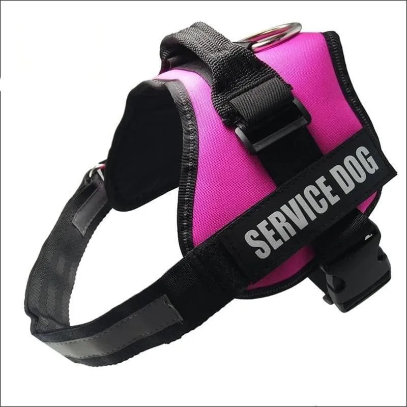 All-In-One No Pull Dog Harness