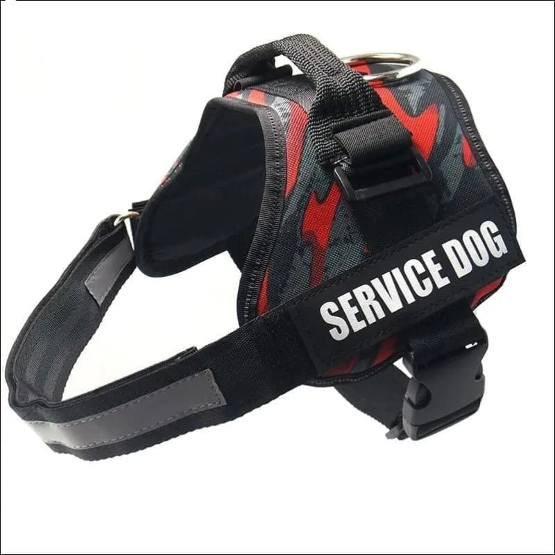 All-In-One No Pull Dog Harness