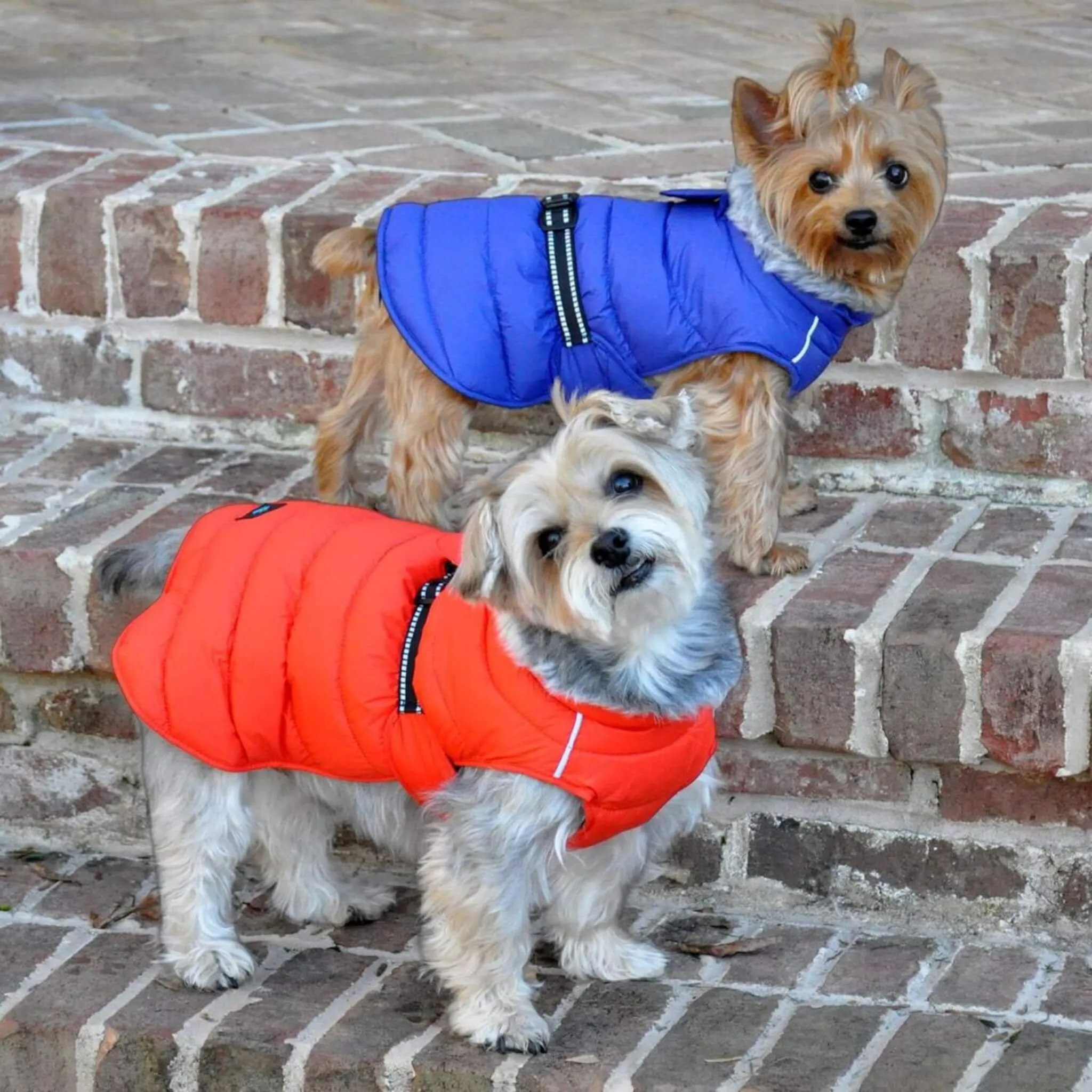 Alpine Extreme Weather Puffer Dog Coat - Orange