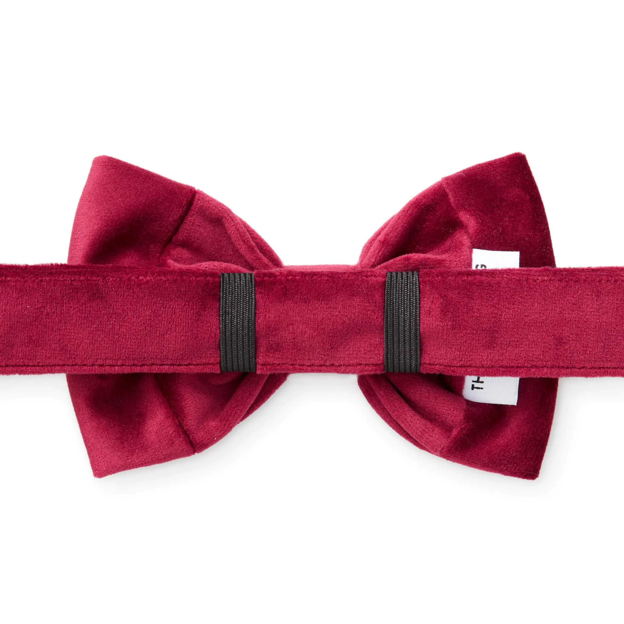 Burgundy Velvet Dog Bow Tie