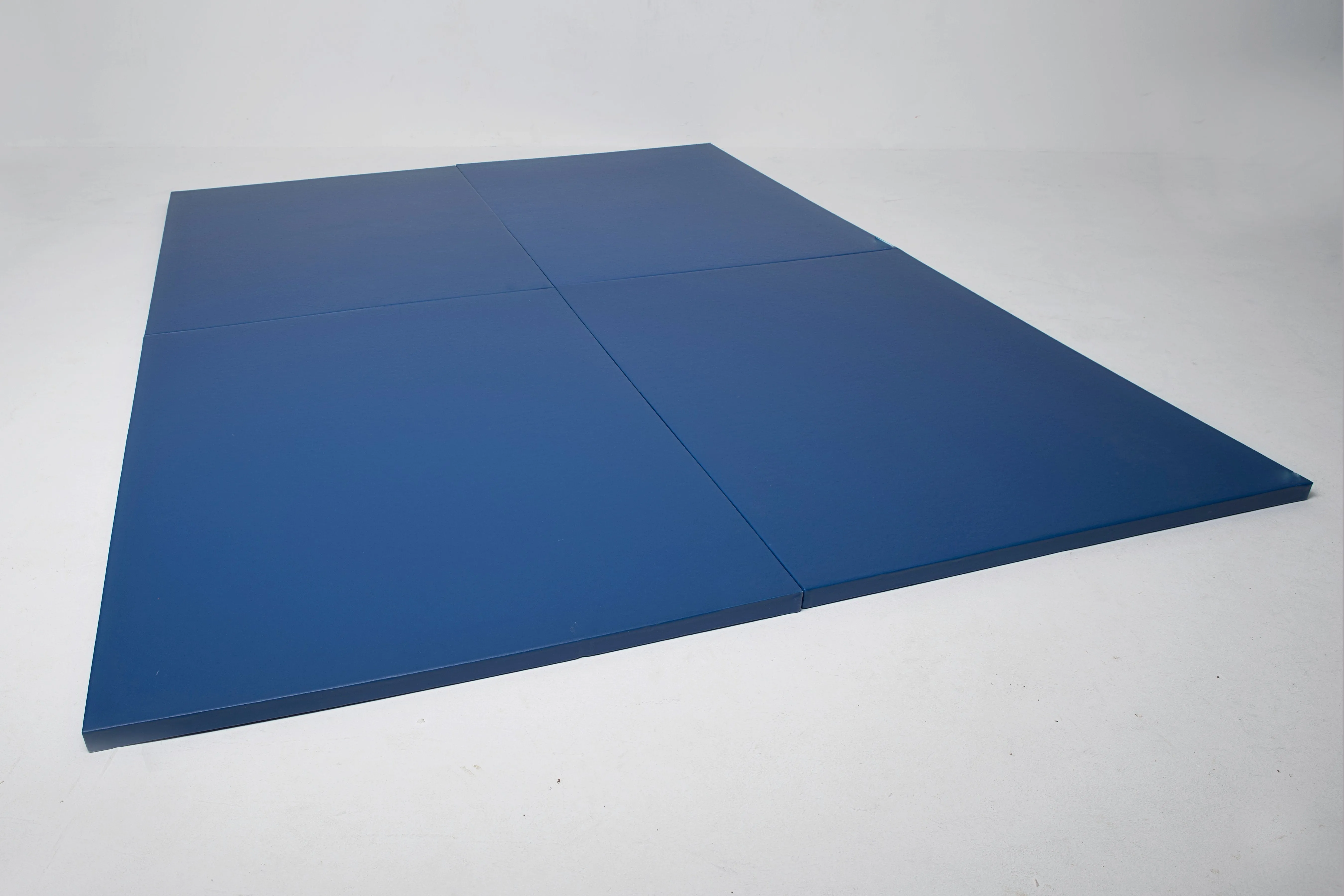 Cannons UK ProMat Agility Mat