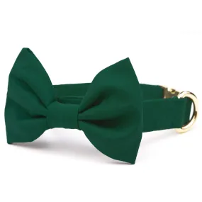 Evergreen Bow Tie Collar