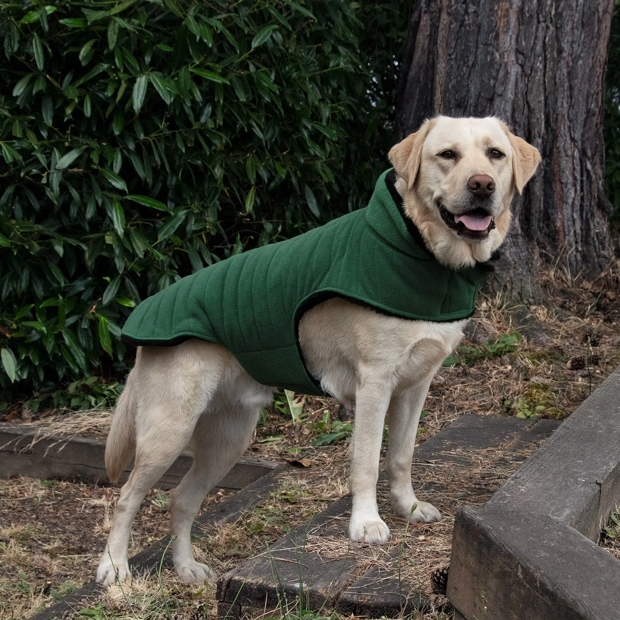 Flex-Fit Reversible Dog Coat