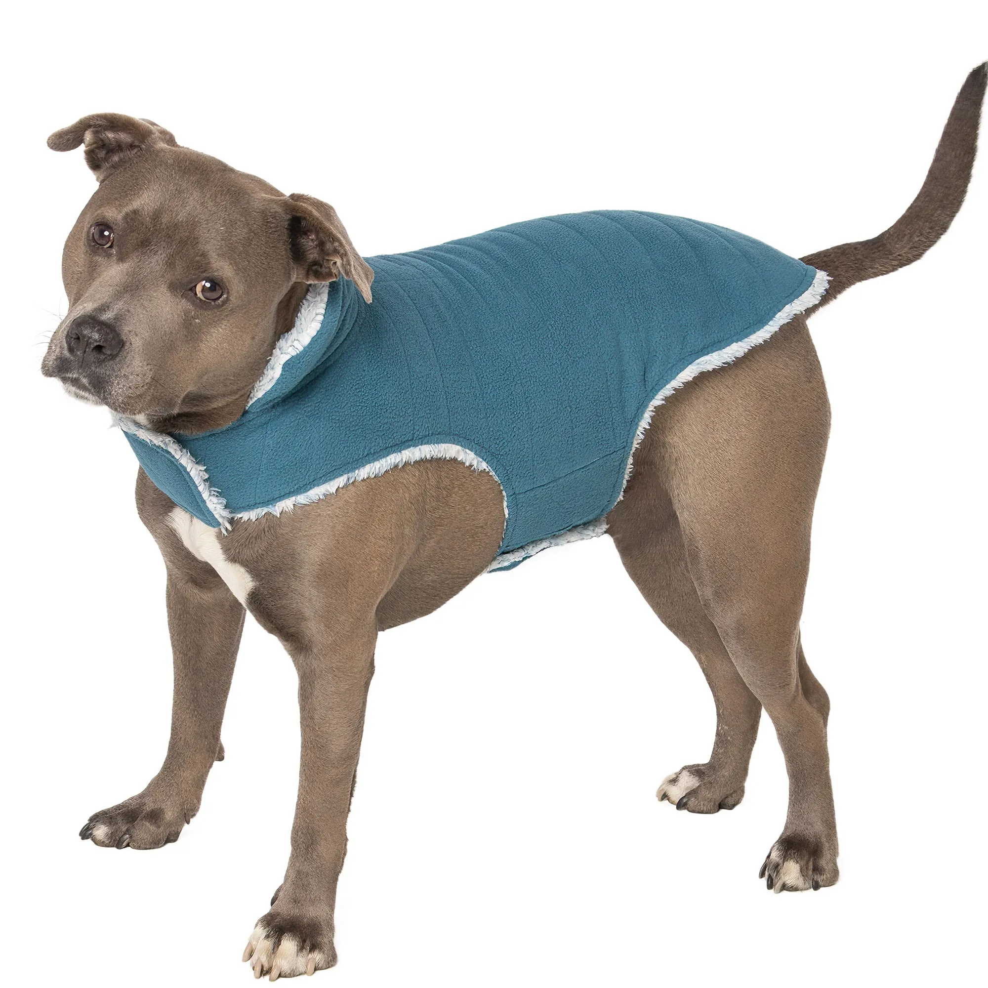 Flex-Fit Reversible Dog Coat