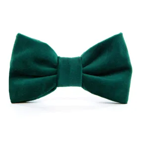 Forest Green Velvet Dog Bow Tie