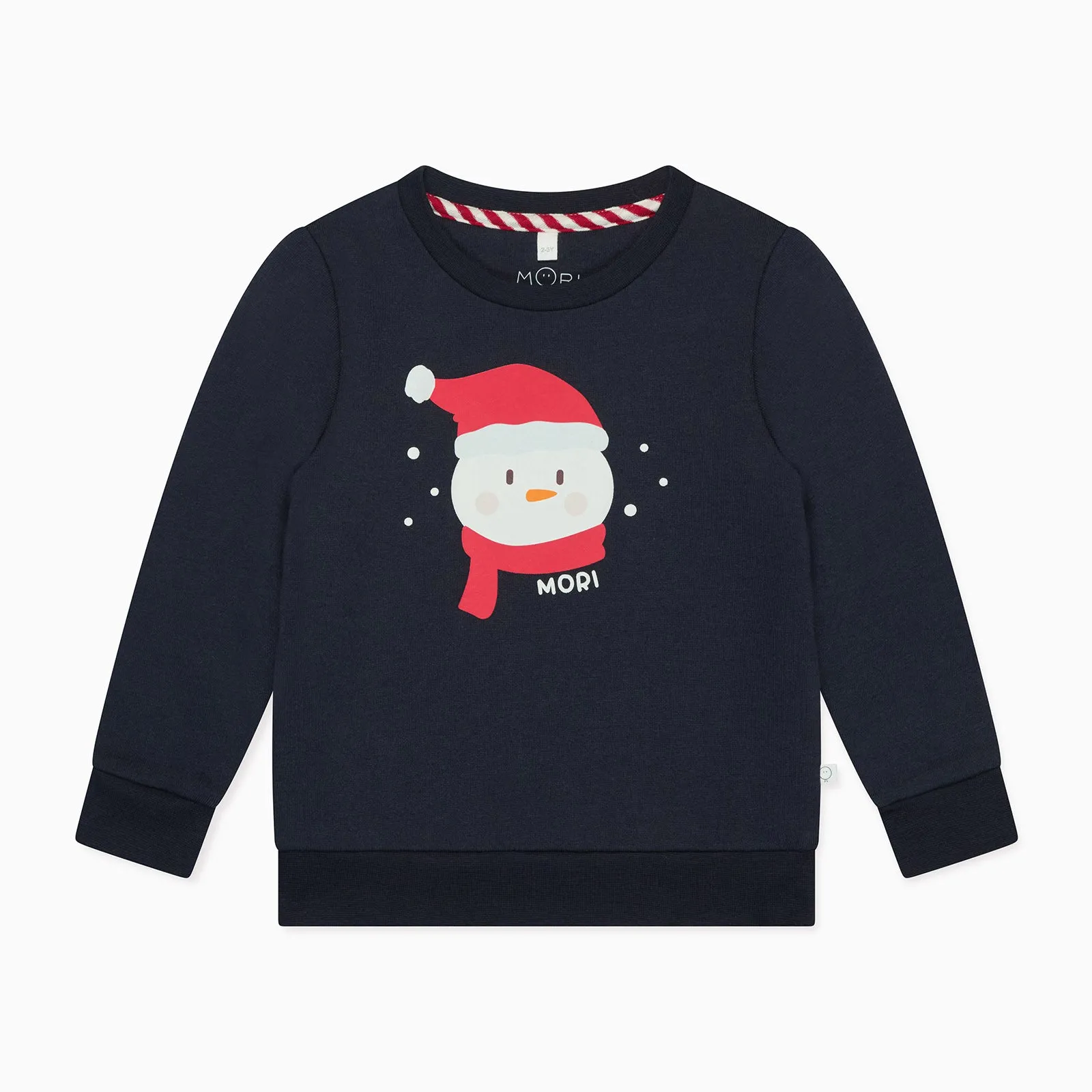 Frosty Friend Sweater