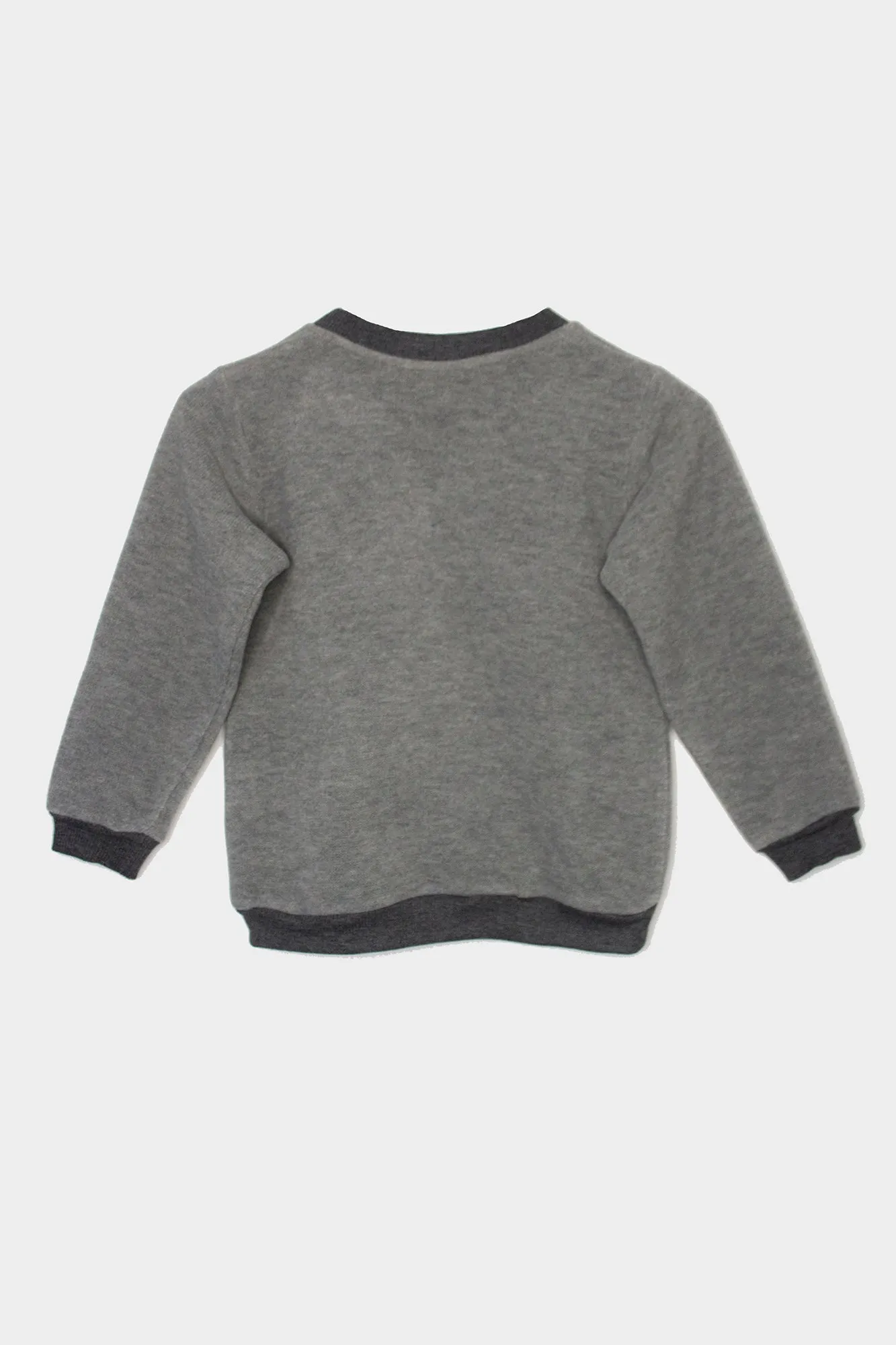 Kid’s sweater One Wolf, grey with small patch