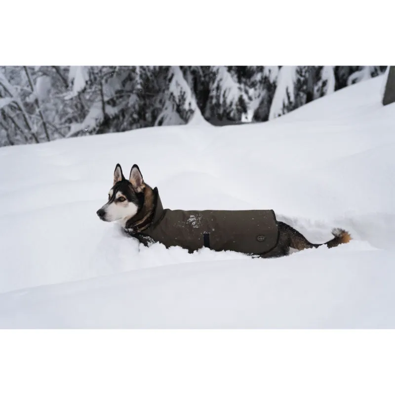 Le Chameau Dog Coat - Vert Chameau