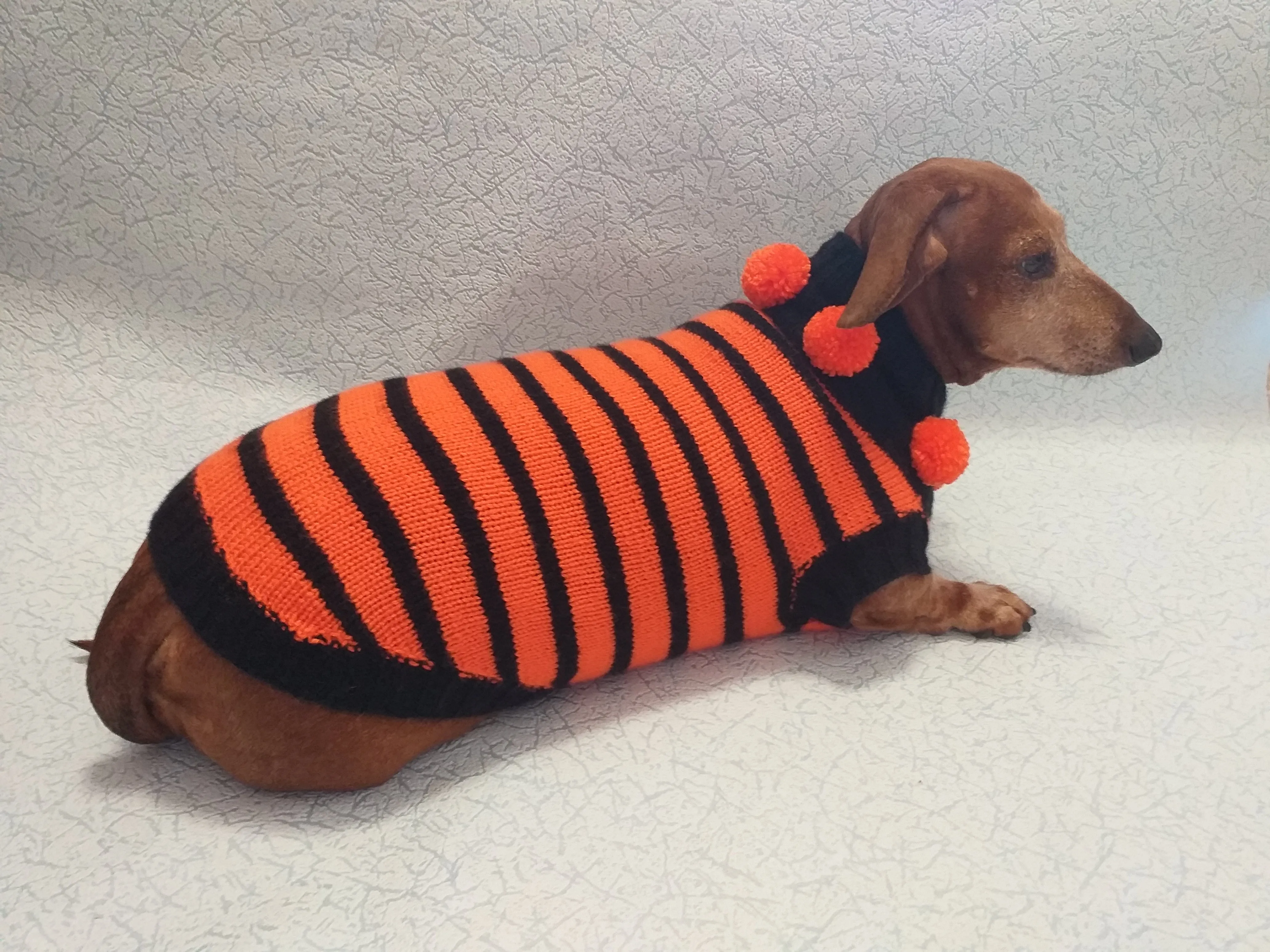 Orange and black striped knitted sweater with pompoms for dachshund or small dog