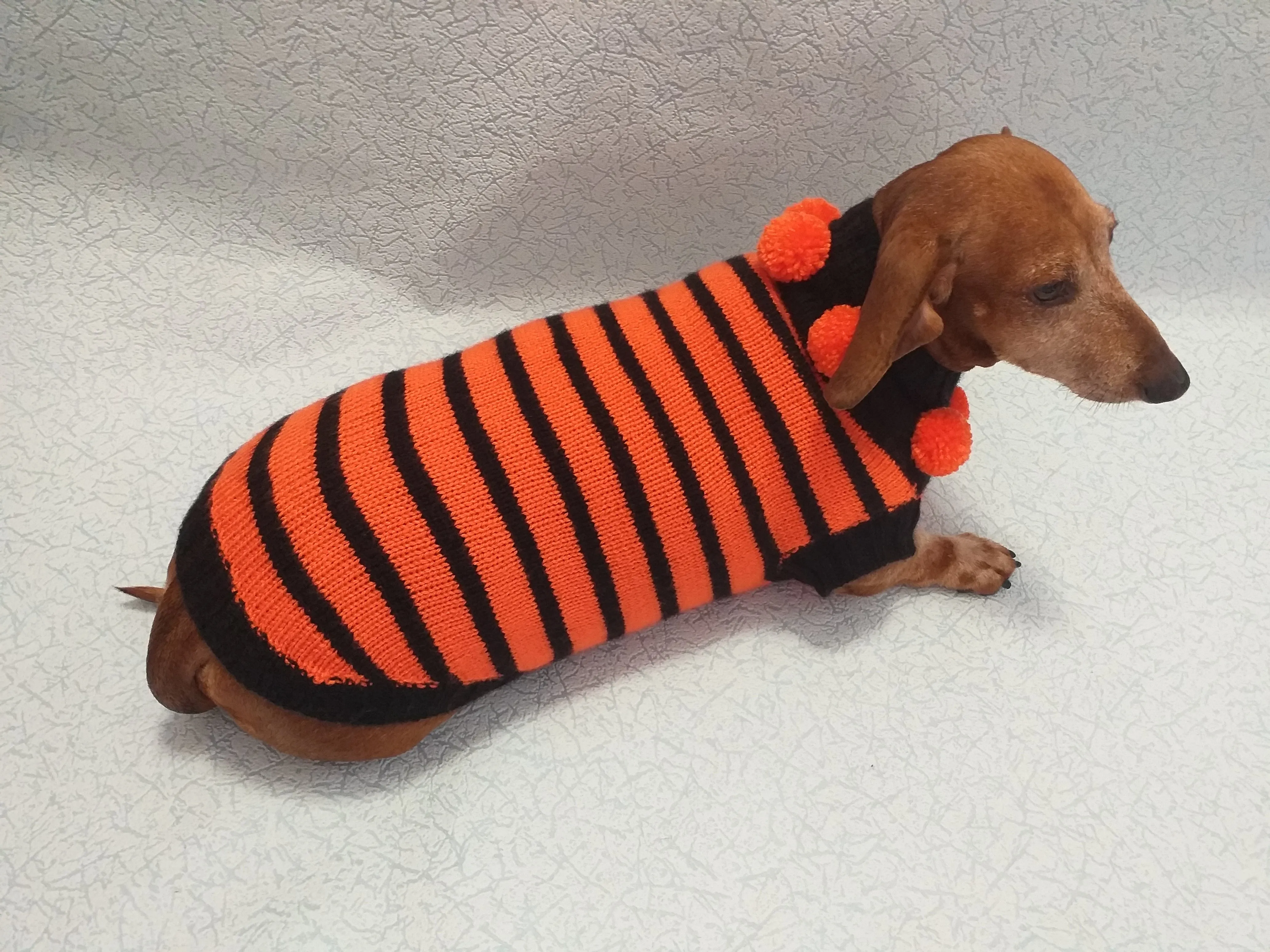 Orange and black striped knitted sweater with pompoms for dachshund or small dog