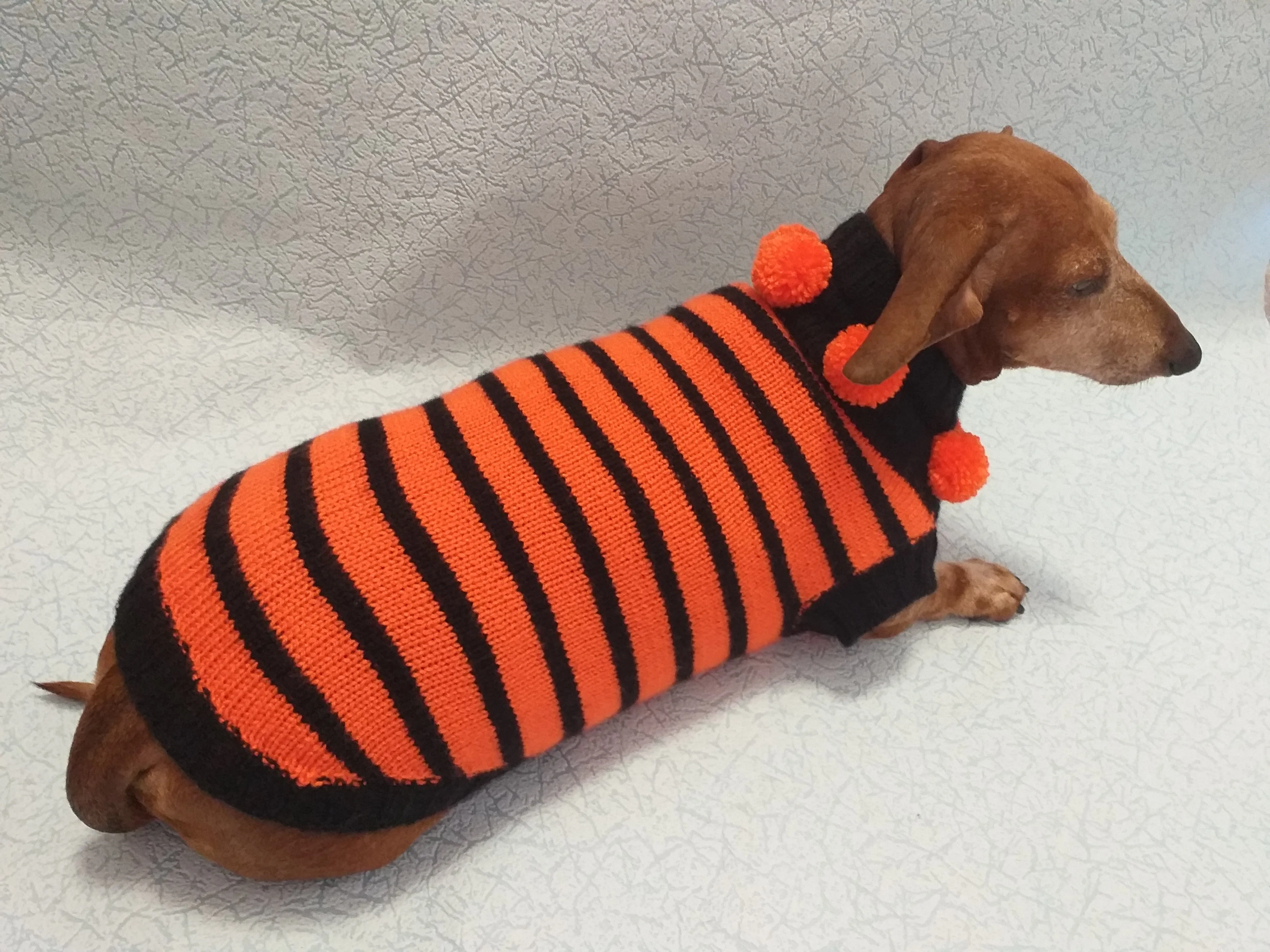 Orange and black striped knitted sweater with pompoms for dachshund or small dog