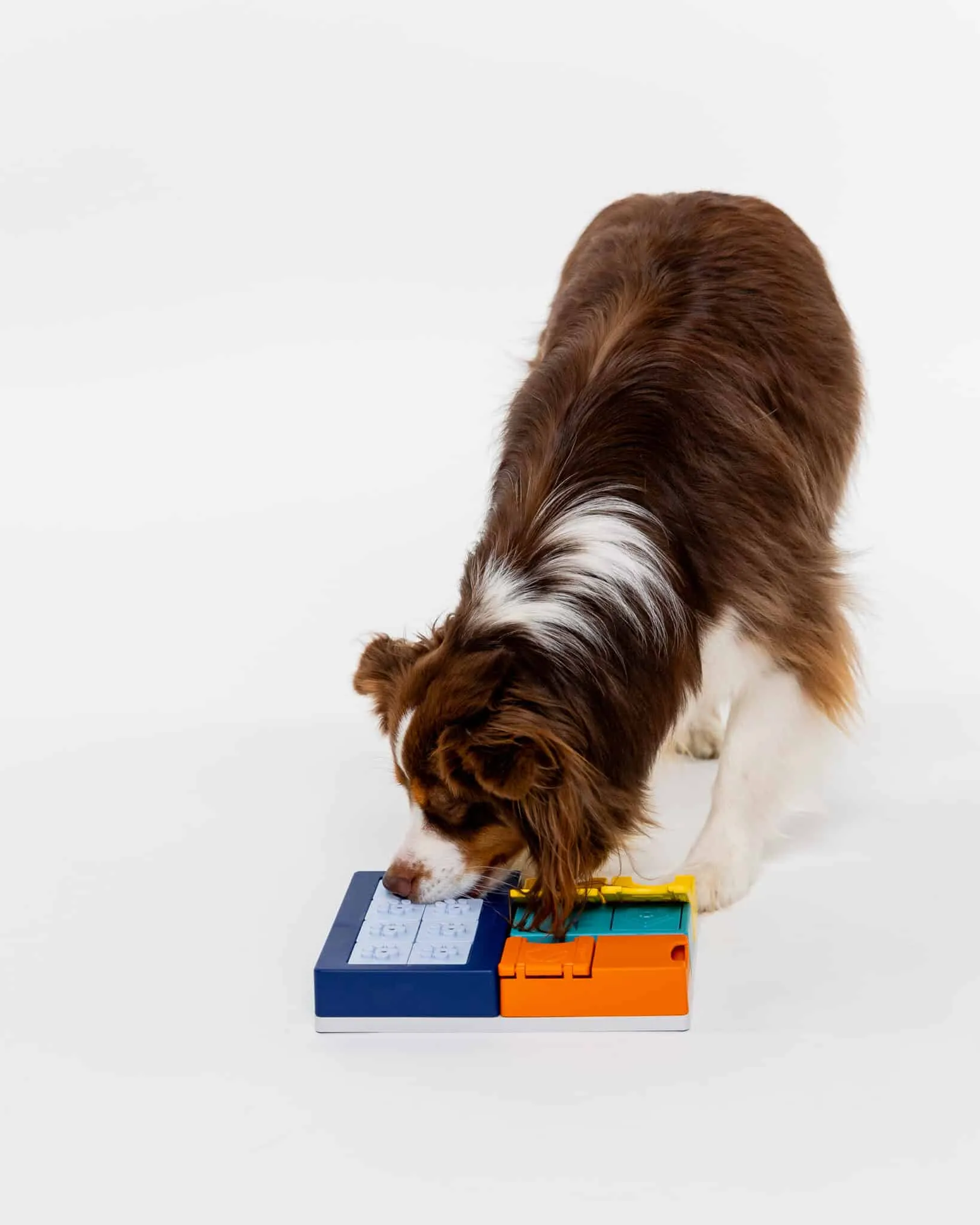 Pawzler Innovative Modular Dog Puzzles (Smarty Set With Base)