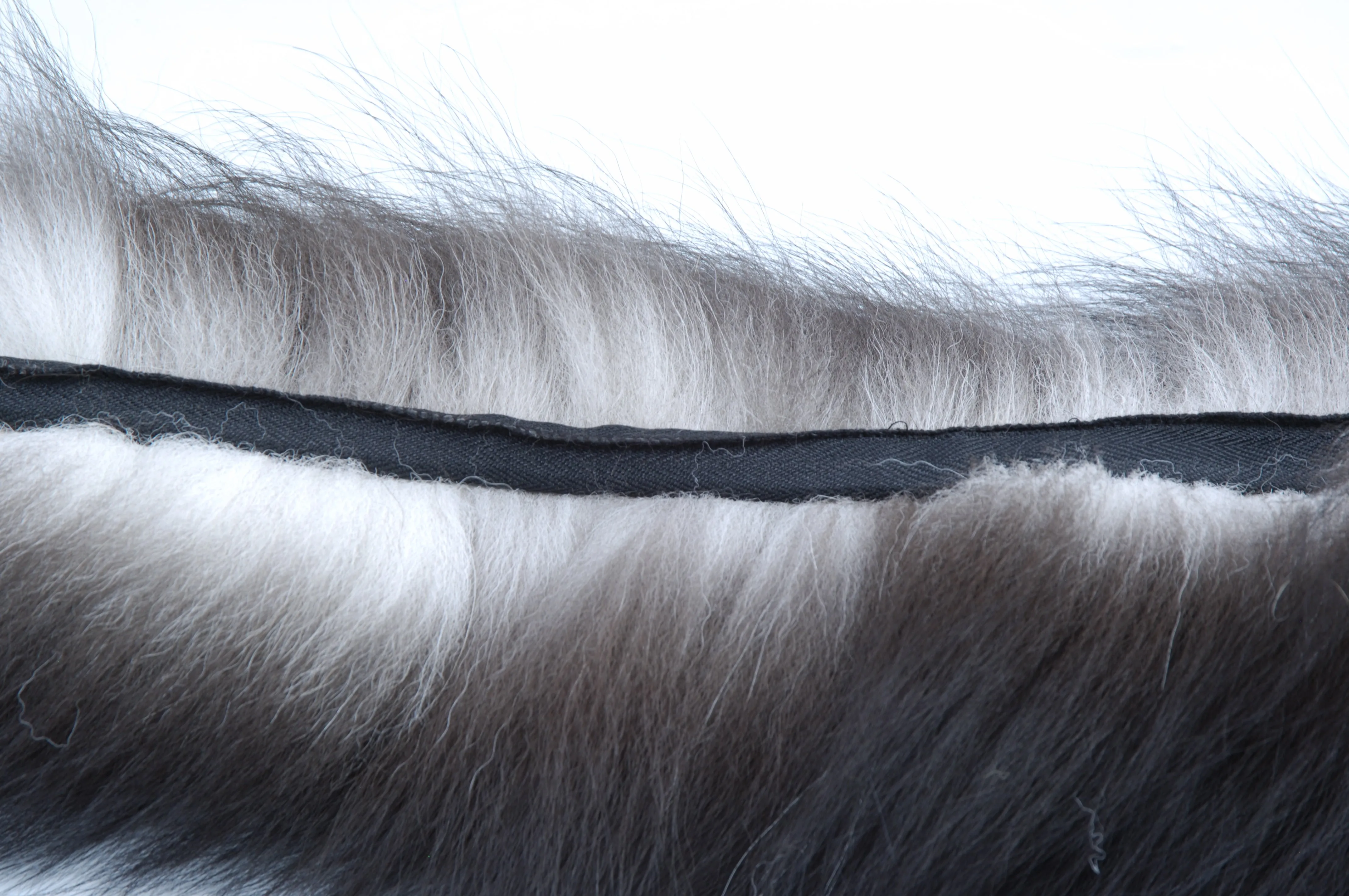 Silver Fox Tail Strip