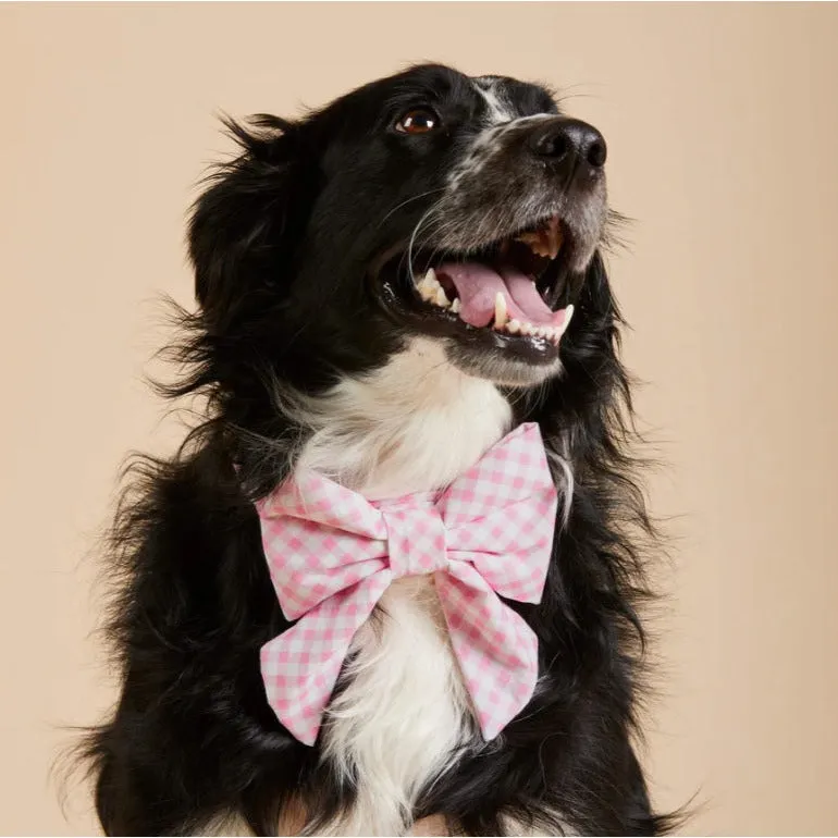 The Foggy Dog - Pink Gingham Lady Bow Tie