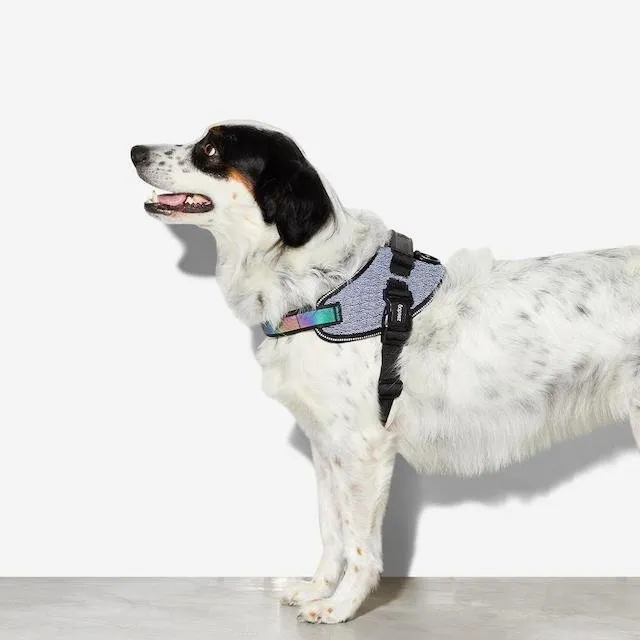 Zee.Dog Urban Dog Fly-Harness